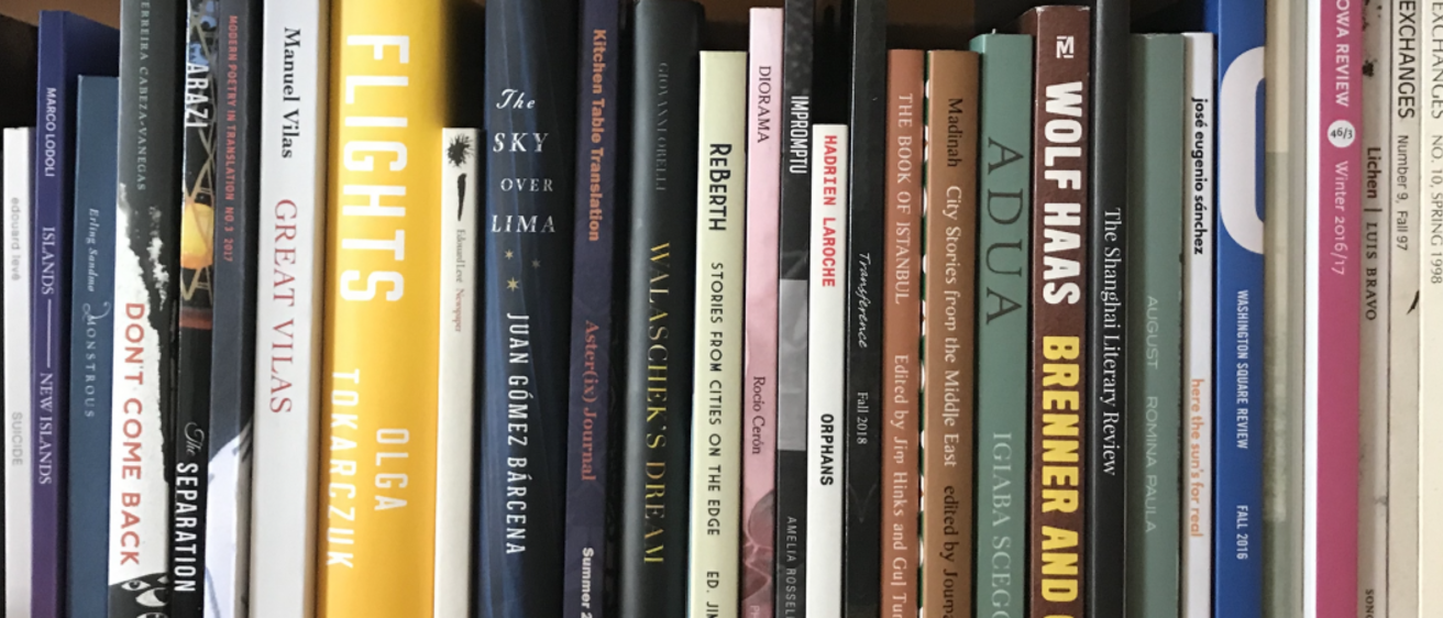 Various translated books on a shelf