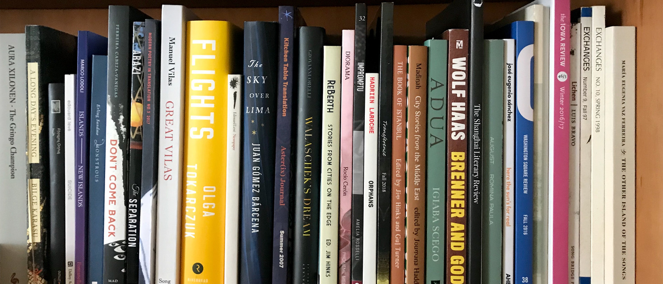 Translation books on a shelf